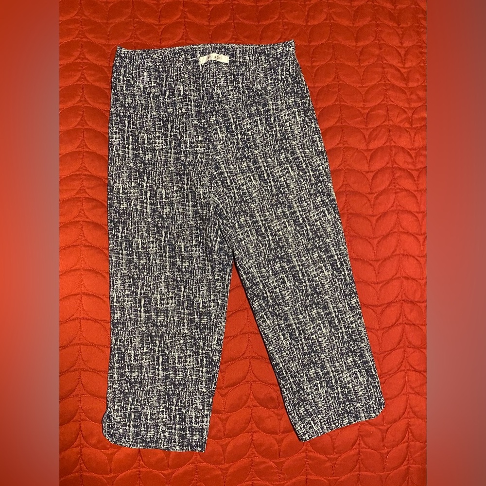 Casual S.C. & CO. Blue and White Capris